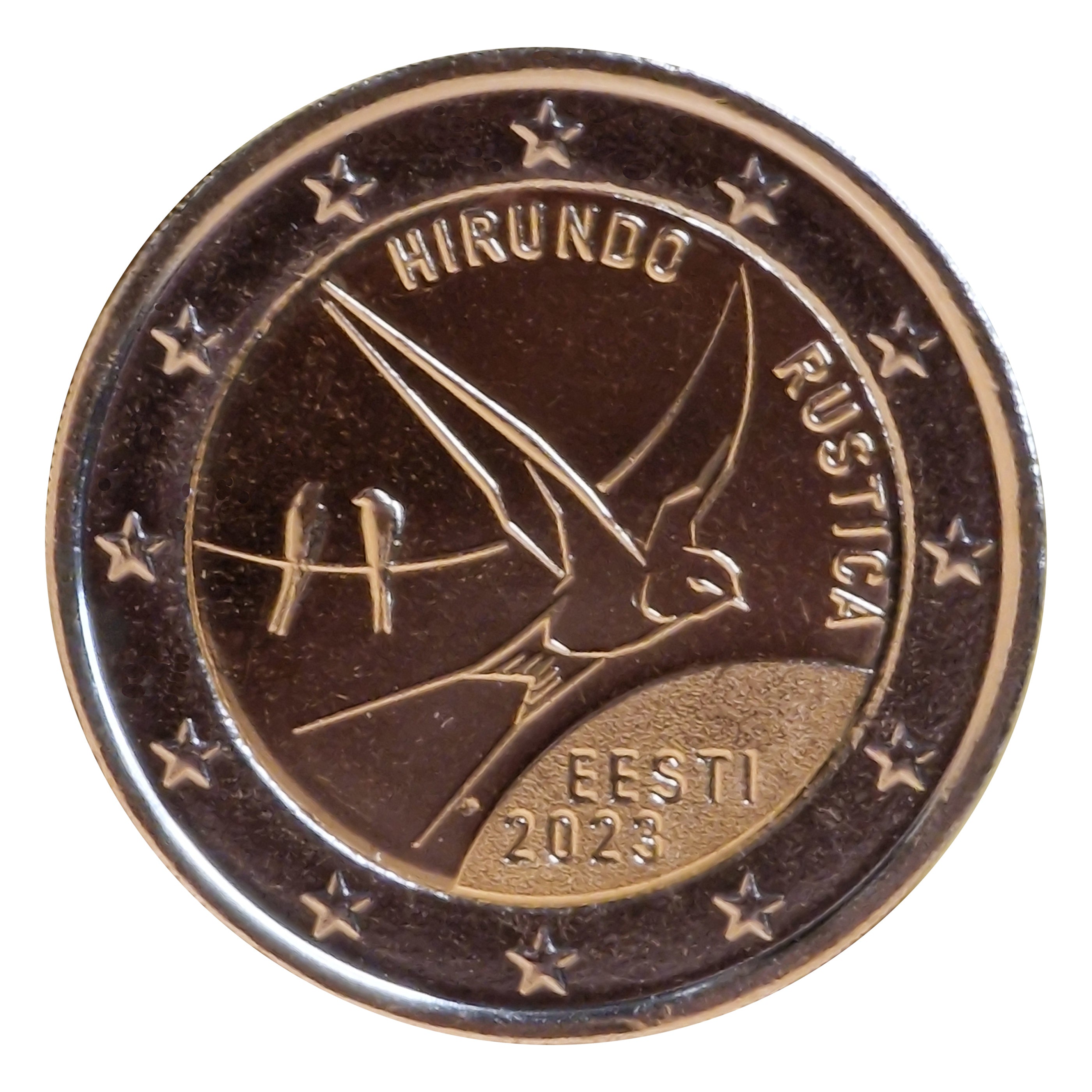 Moneta da 2 euro Estonia 2023 Rondine Comune Moneta commemorativa UNC