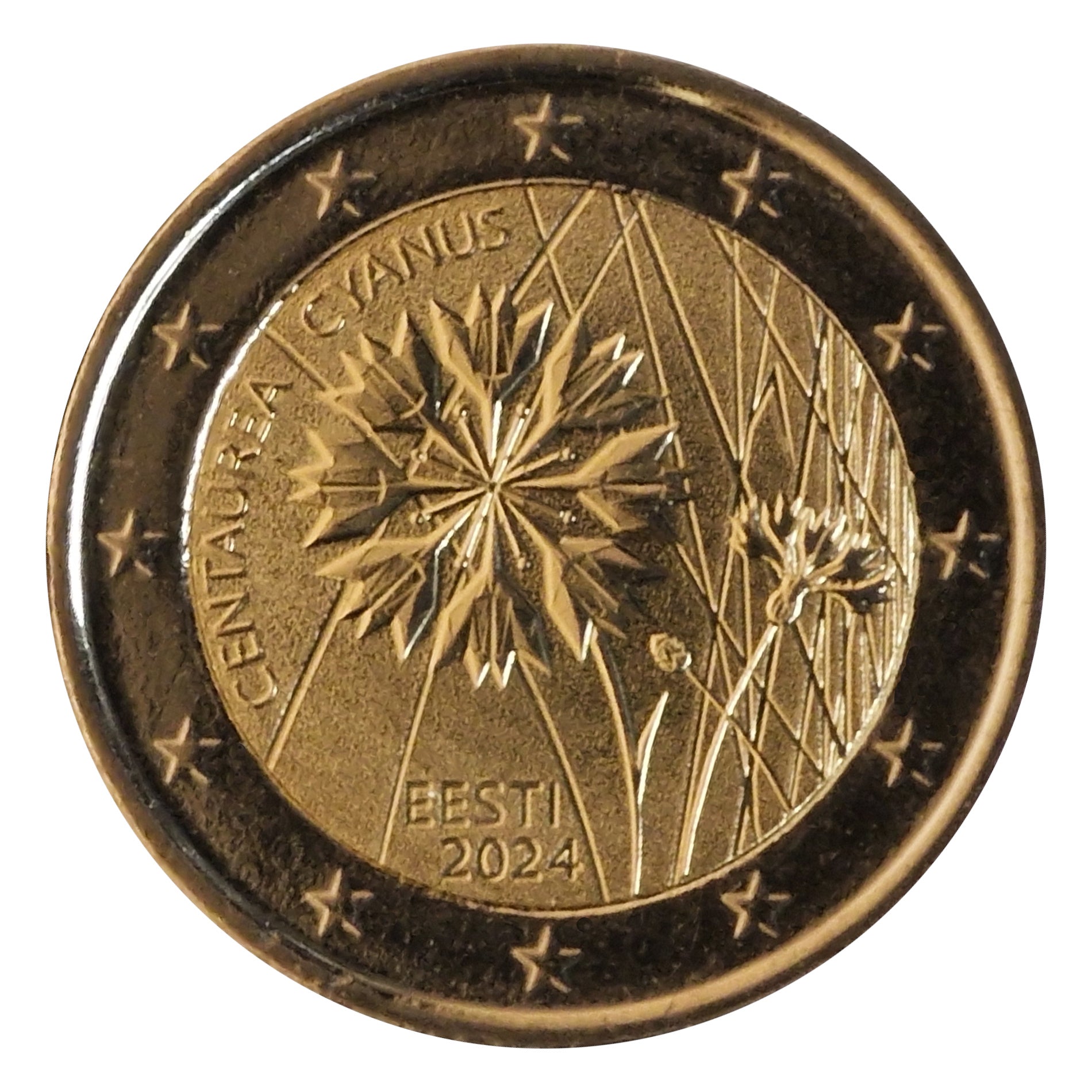 Moneta da 2 euro Estonia 2024 Fiordaliso Moneta commemorativa UNC